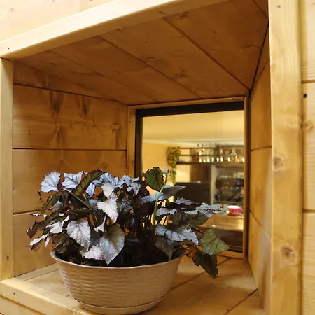 Da Cecilia מלון 2*